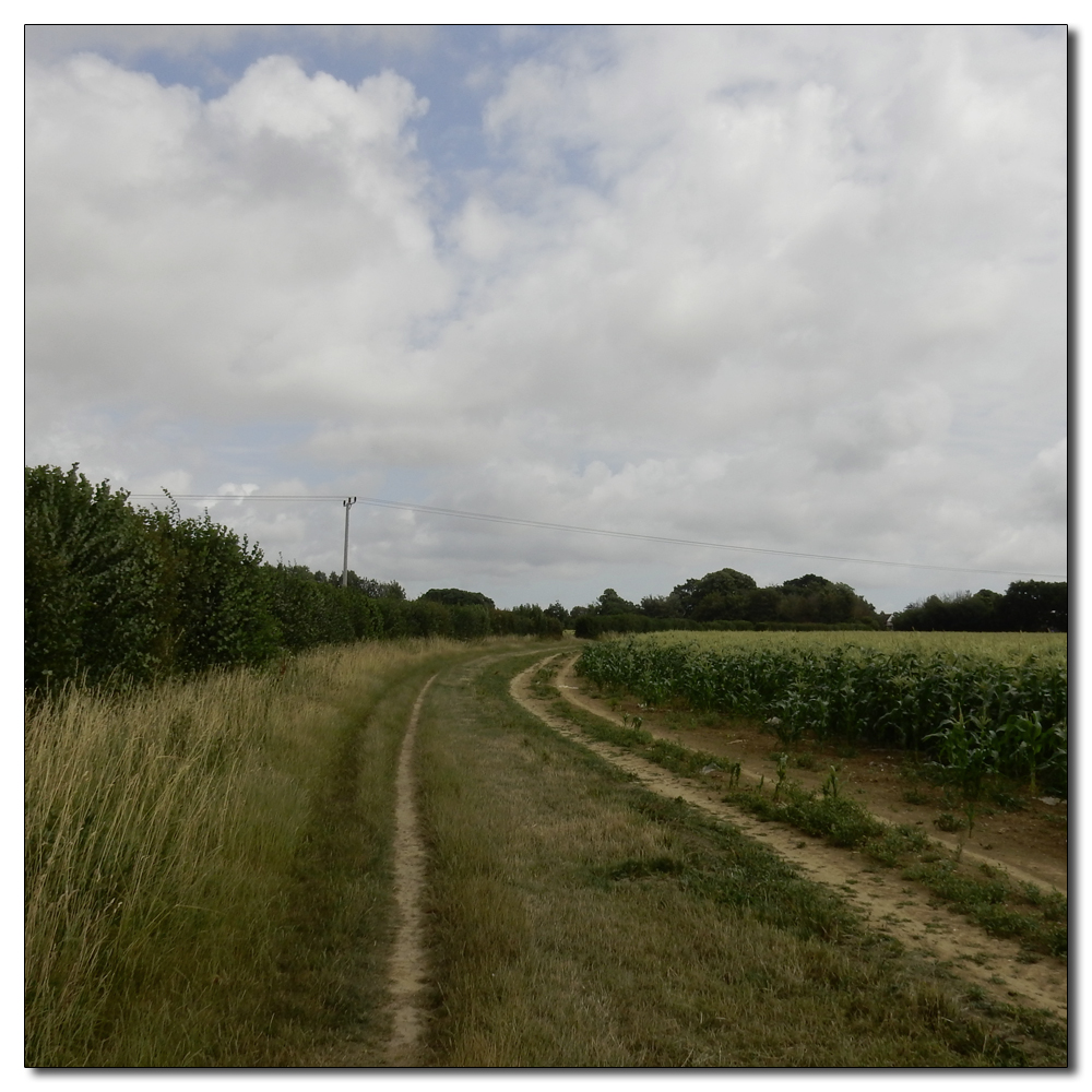 Salterns Corpse Run, 