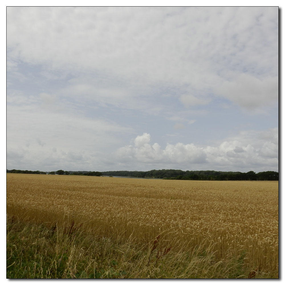 Salterns Corpse Run, 