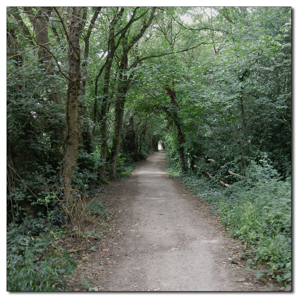 Salterns Corpse Run, 