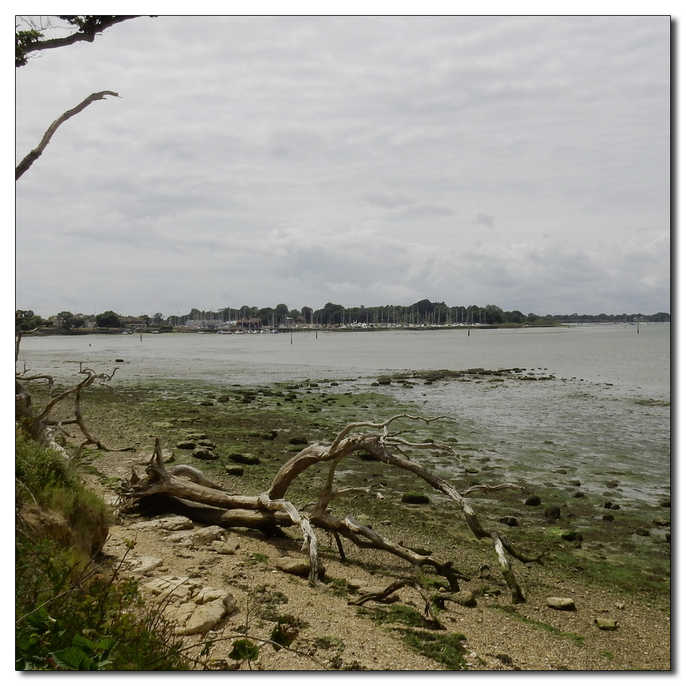 Salterns Corpse Run, 