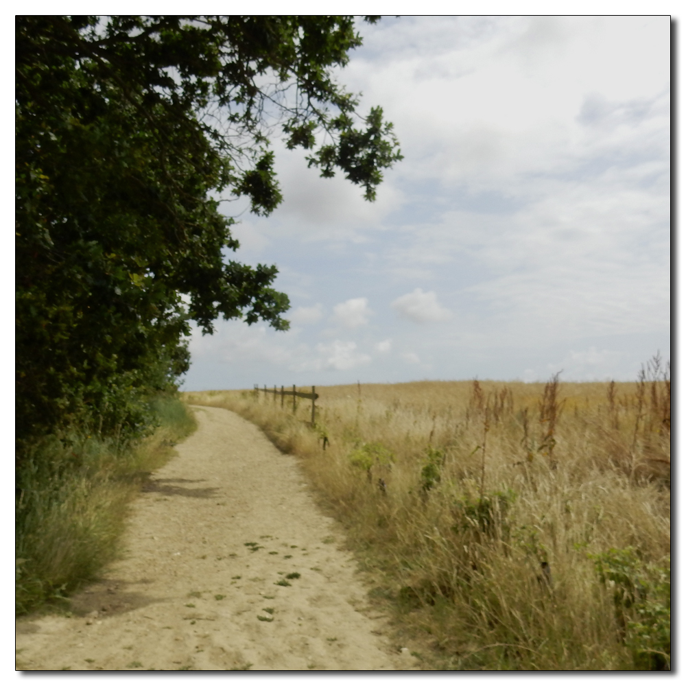 Salterns Corpse Run, 